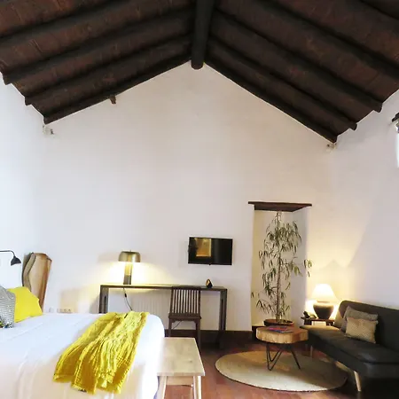 Hotell Boutique Gastronomico Palacio Ico (adults Only)