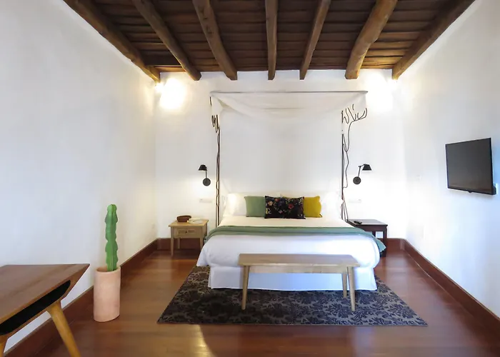 Boutique Palacio Ico - Only Adults 酒店