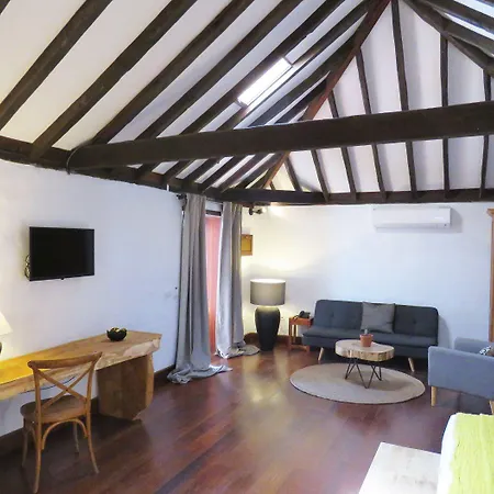 Boutique Palacio Ico - Only Adults Hotel